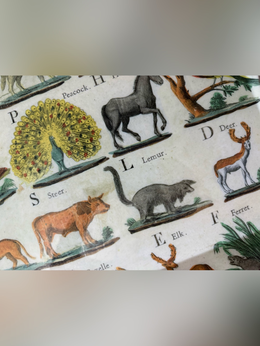 John Derian for Target - Animal Alphabet Melamine Tray - Picture 2 of 4